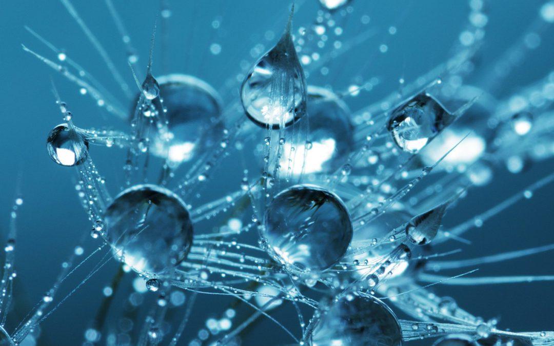 Posdoctoral Epistemología: El  Pensar naturalista